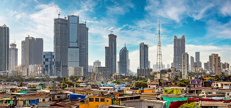 インド転職動向