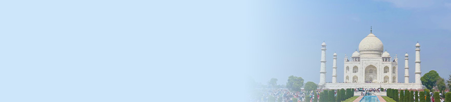 インド転職動向