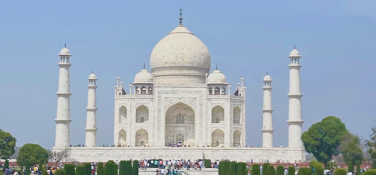 インド転職動向