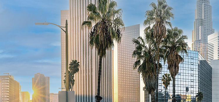 アメリカ転職動向